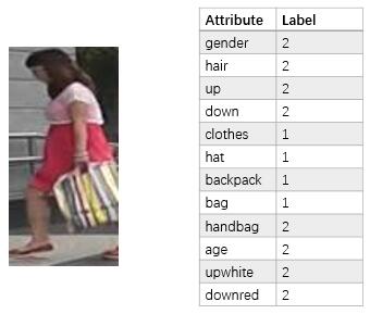 Pedestrian Attribute